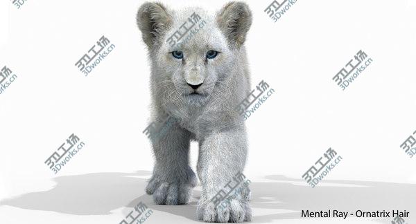 images/goods_img/20210312/3D White Baby Lion Animated, Fur/4.jpg